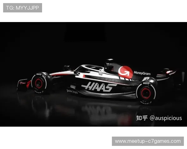 F1最新赛季风云再起车队策略与车手竞技全面解析